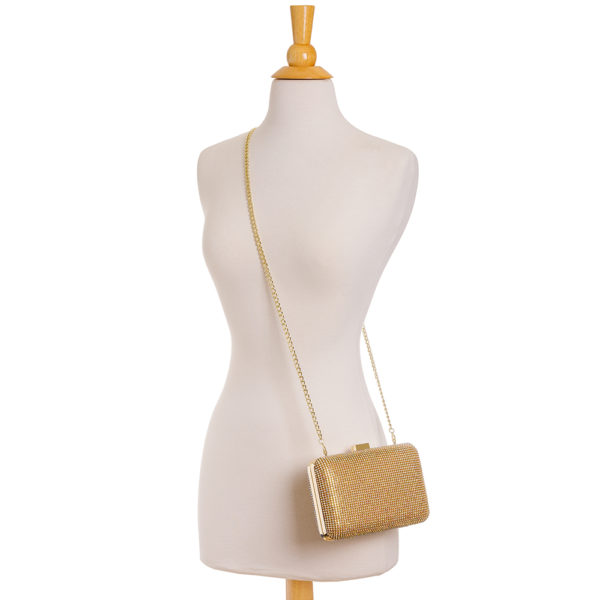 Crystal Yves Clutch - Image 4
